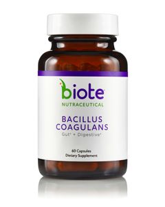 Bacillus Coagulans